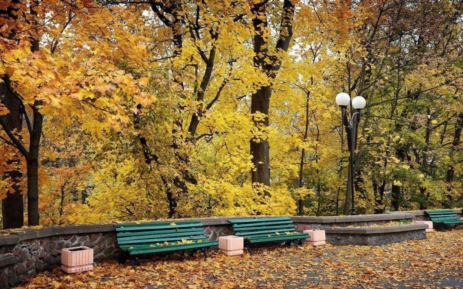 , Никитин Николай