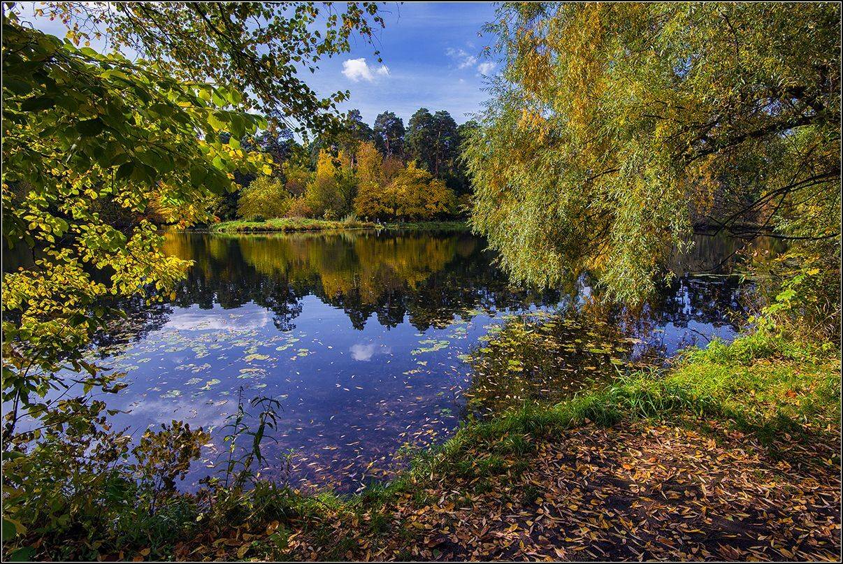 москва, осень, озеро, лес, АНАТОЛИЙ ДОВЫДЕНКО