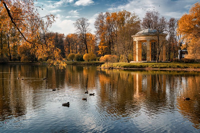 bakulind, санкт-петербург, екатерингоф Пруд в парке Екатерингоф фото превью