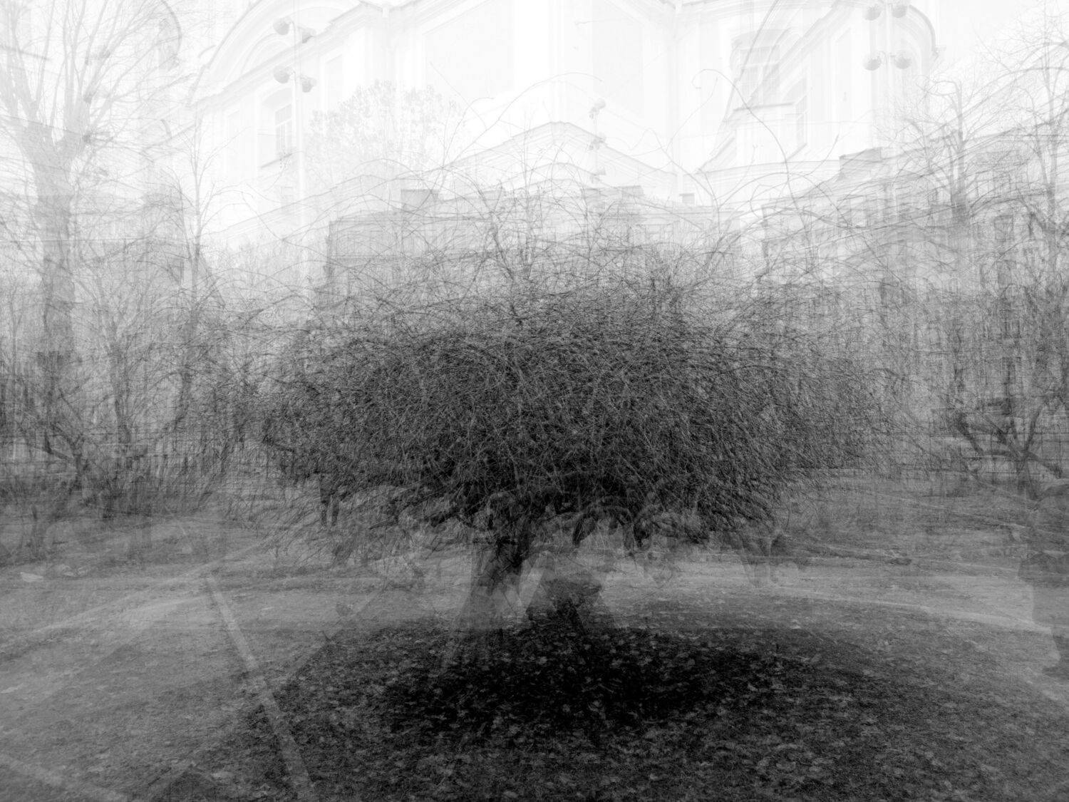 , Антон Лаба