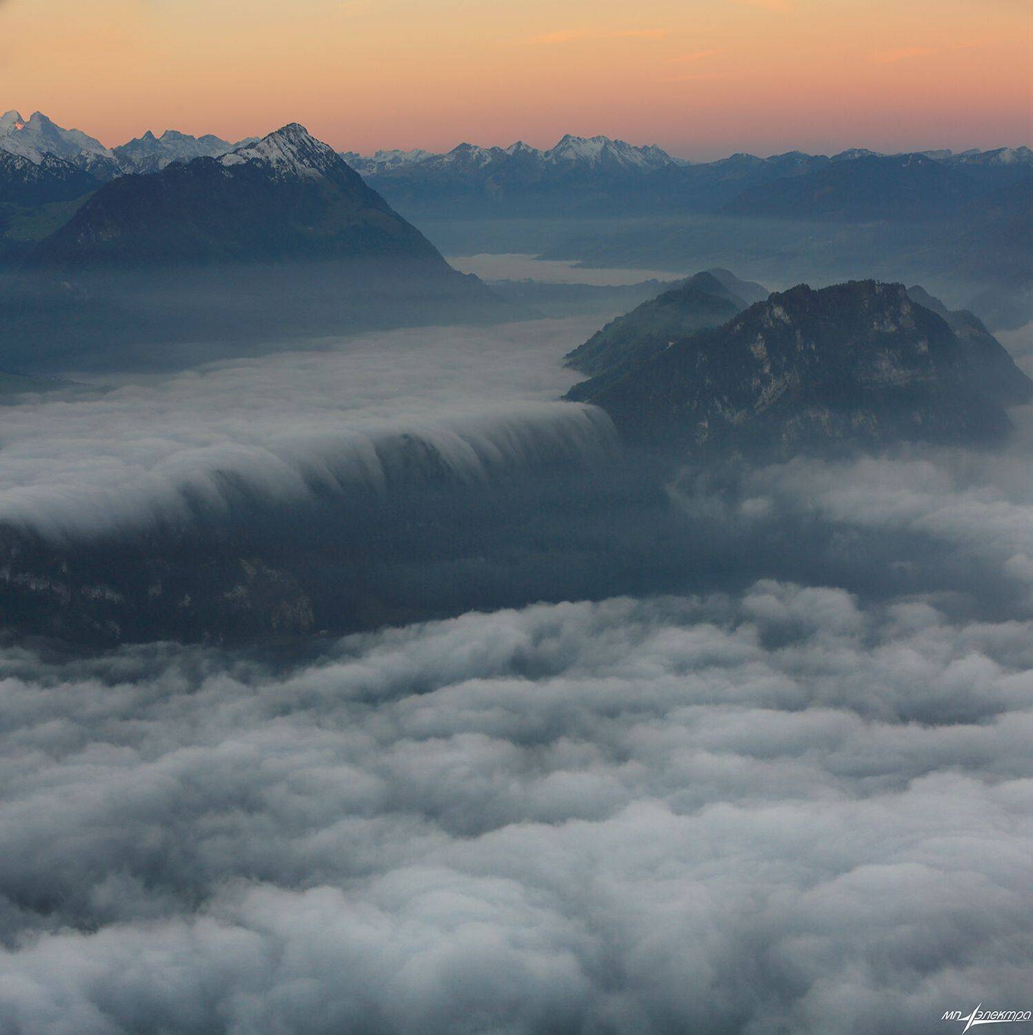 swiss, Матвеев Николай