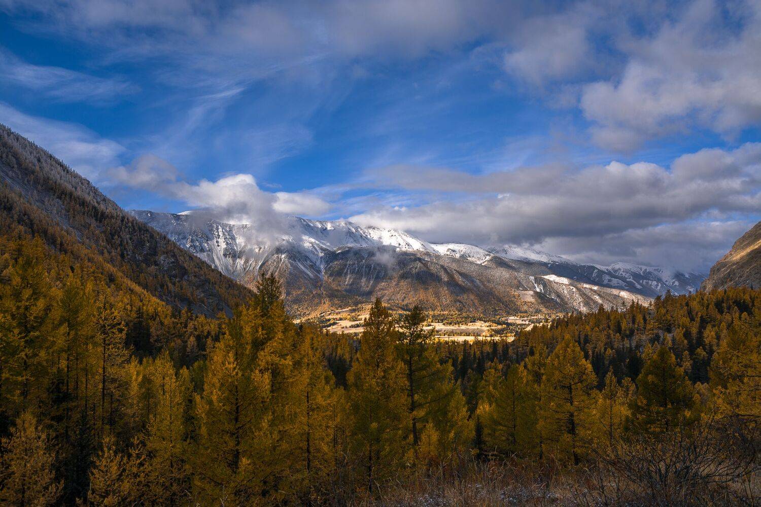 россия, горный алтай,утро, осень, Андрей Поляков