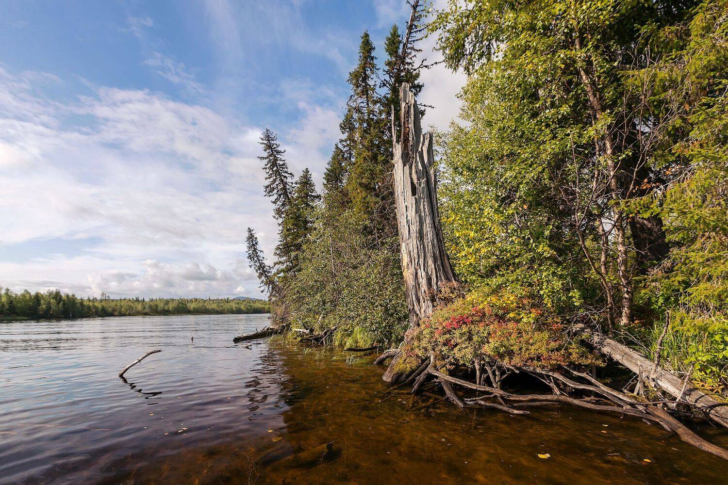 карелия, Ярослав Лукьянов