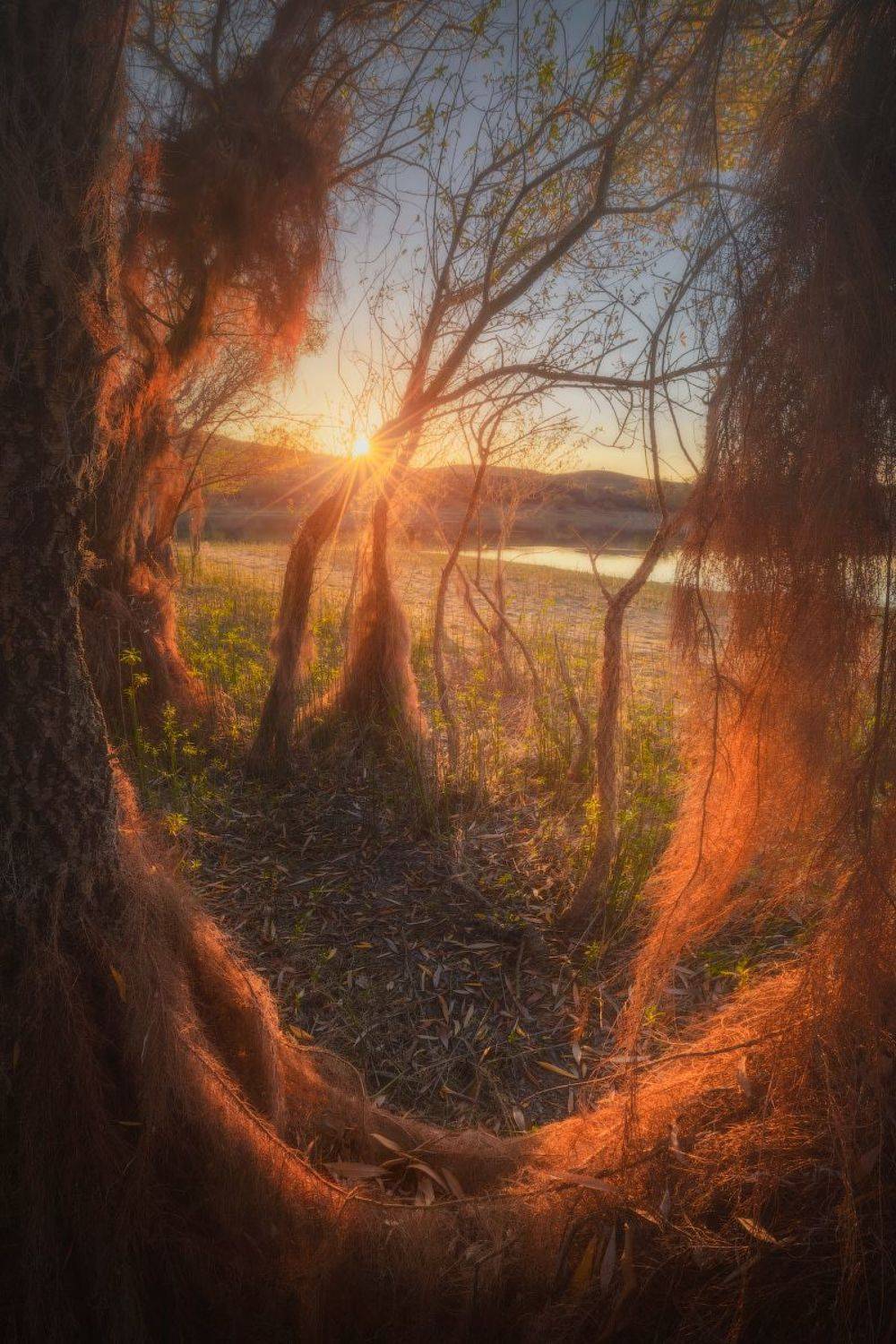 , Алексей Агеев