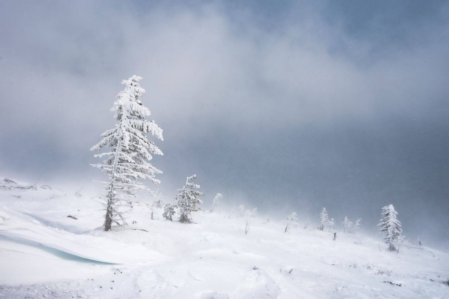 гух, главный уральский хребет, зима, зимний пейзаж, Елена Соколова