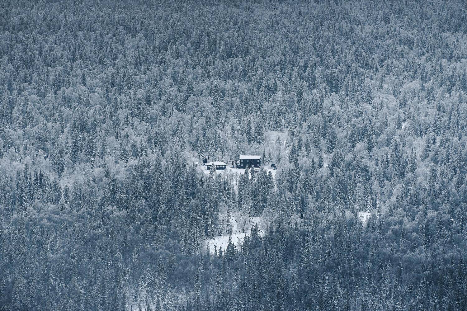 , Даниил Силантьев