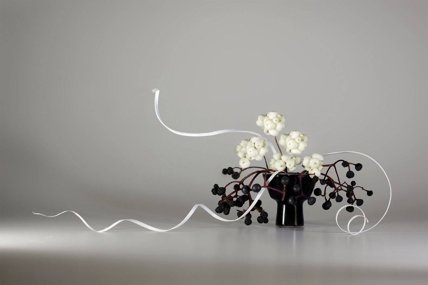 , Ольга Заболотская