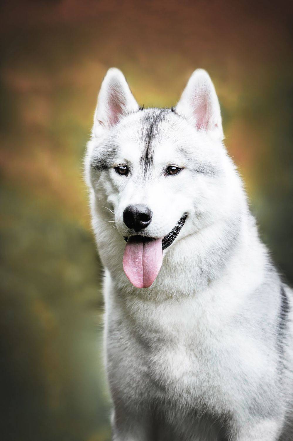 , Юлия Гончар