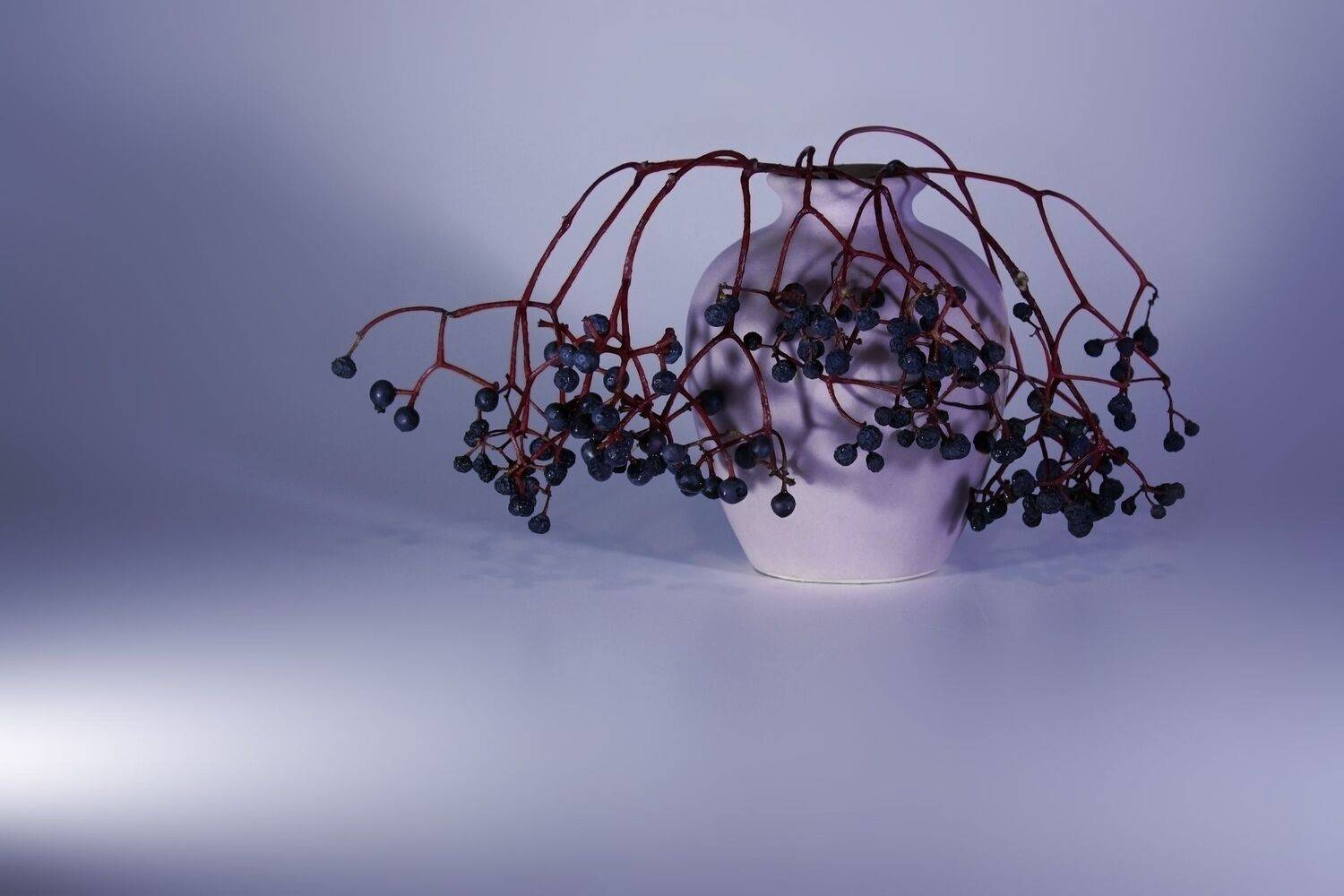 , Ольга Заболотская