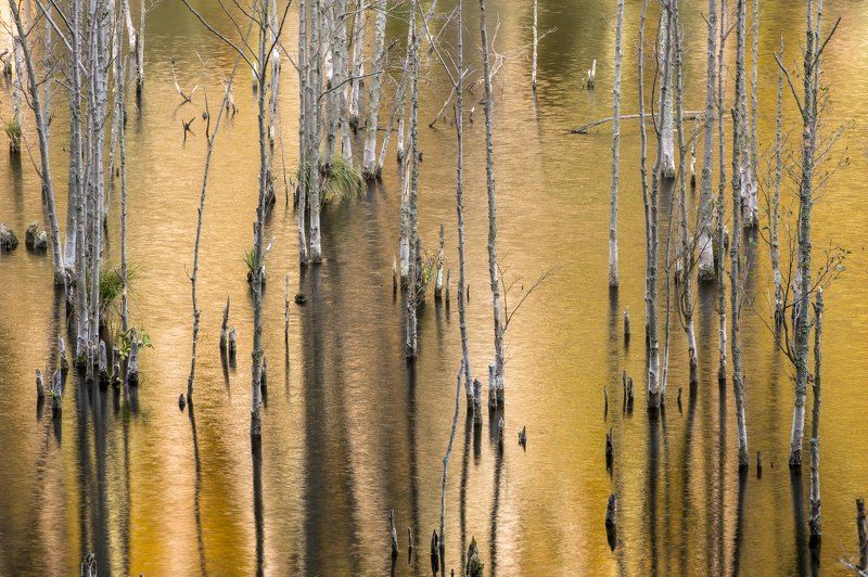 Autumn фото превью