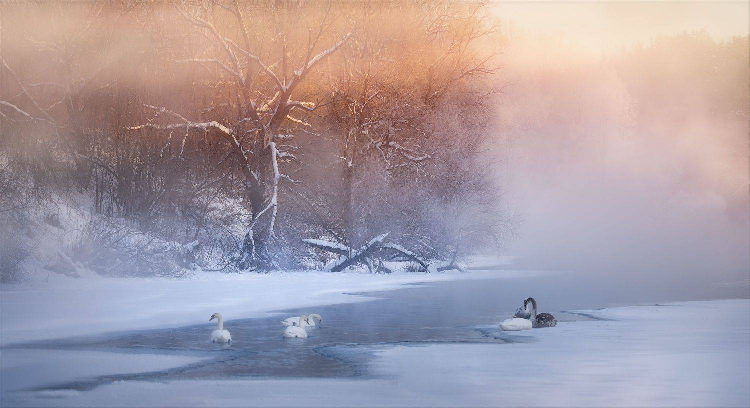 , Алексей Богорянов