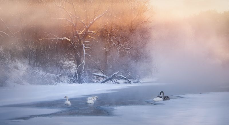 Выжить вопреки... фото превью