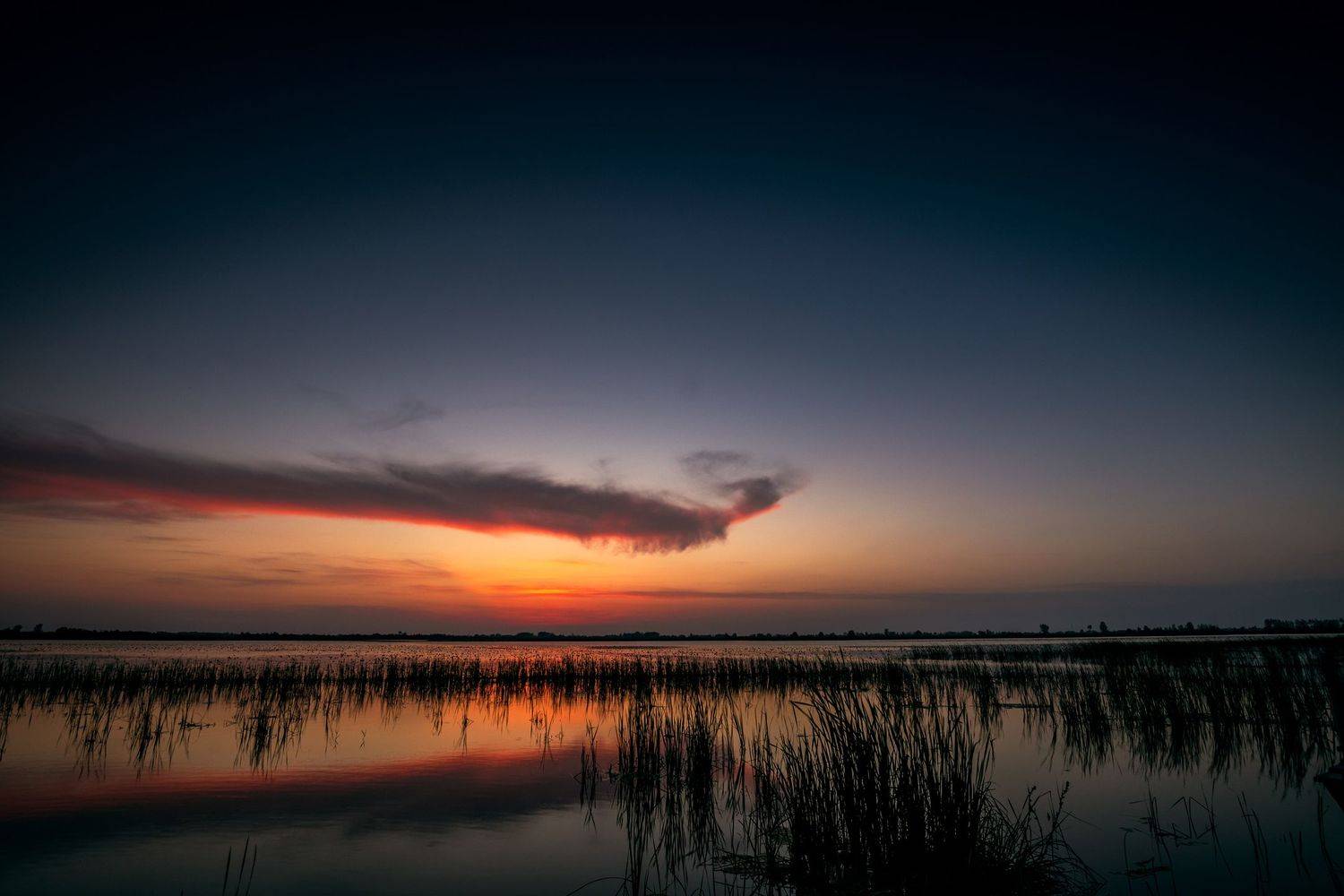 , Seyad Sajad Mirrahimi Daryasari