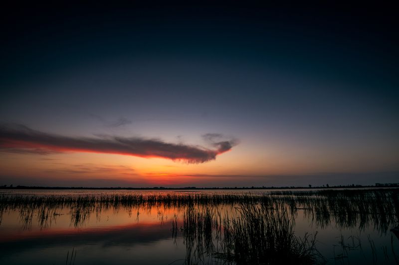 Wetlands sunset фото превью
