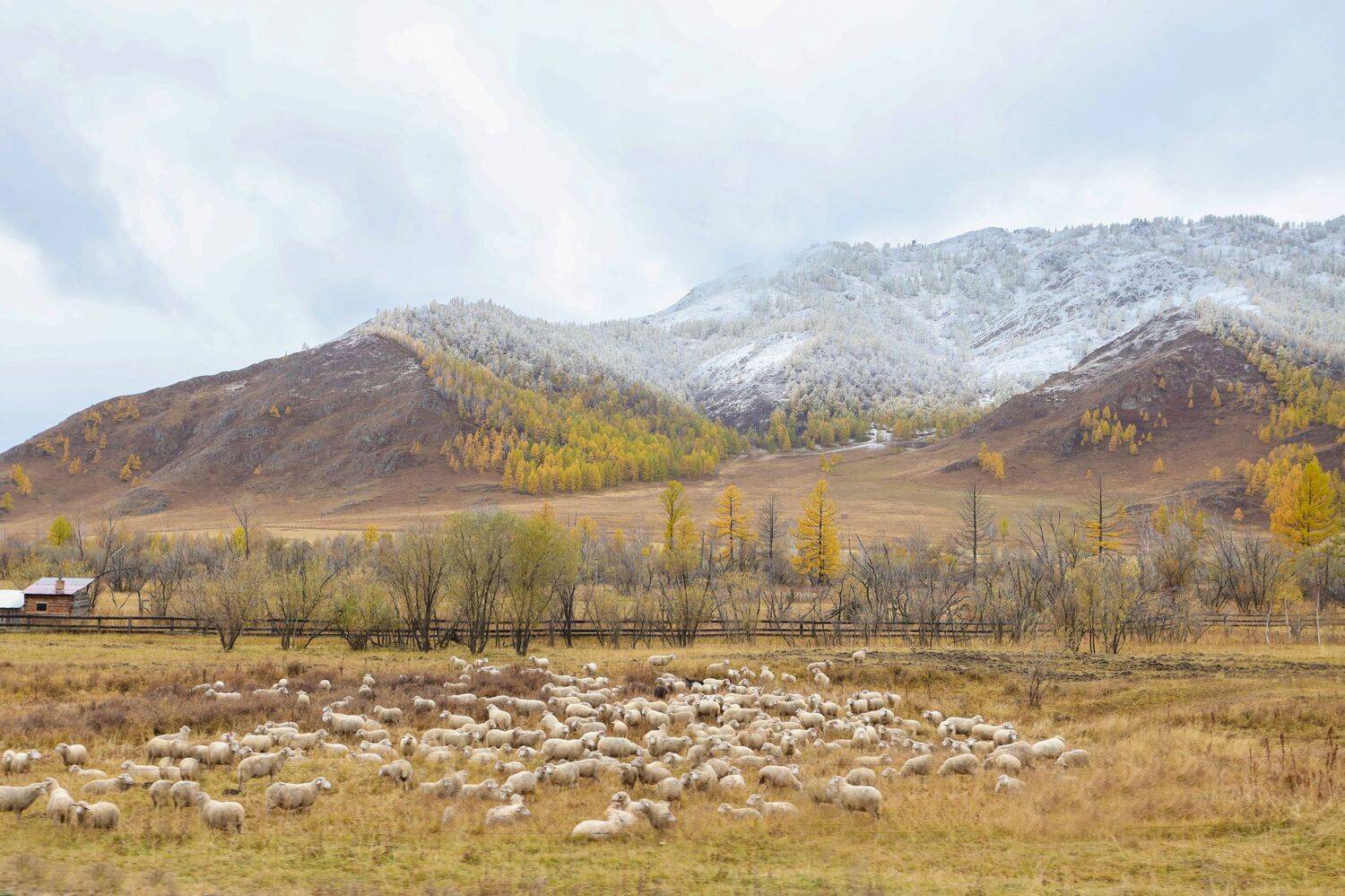 , Константин Буркин