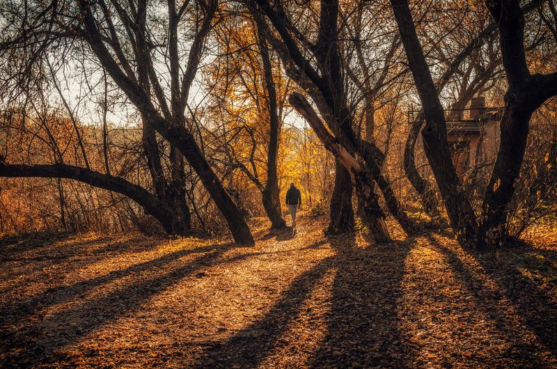 Что такое осень... фото превью