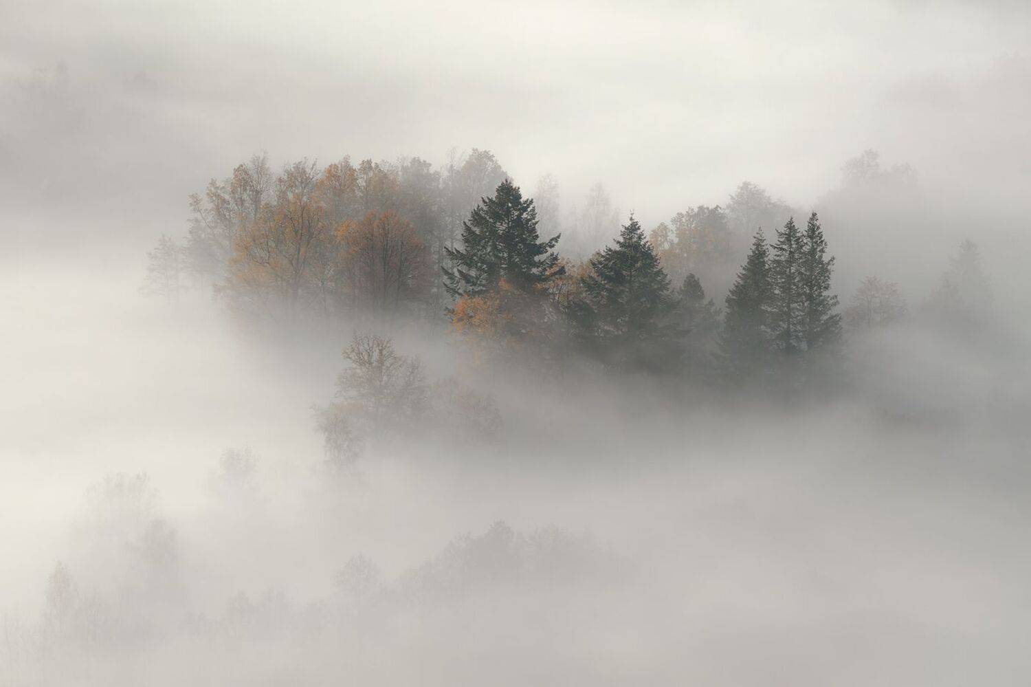 landscape,autumn,mountains,canon, Iza i Darek Mitręga