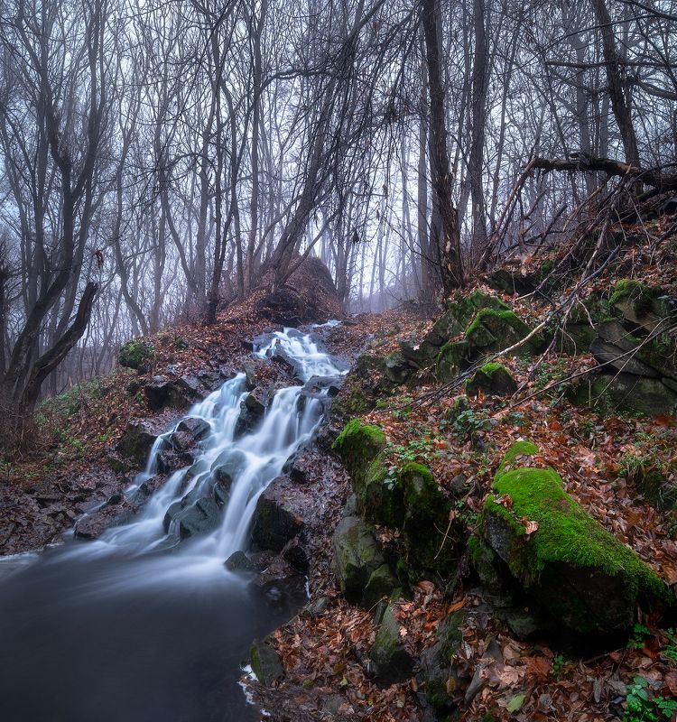 #ProDonbassWaterFall фото превью