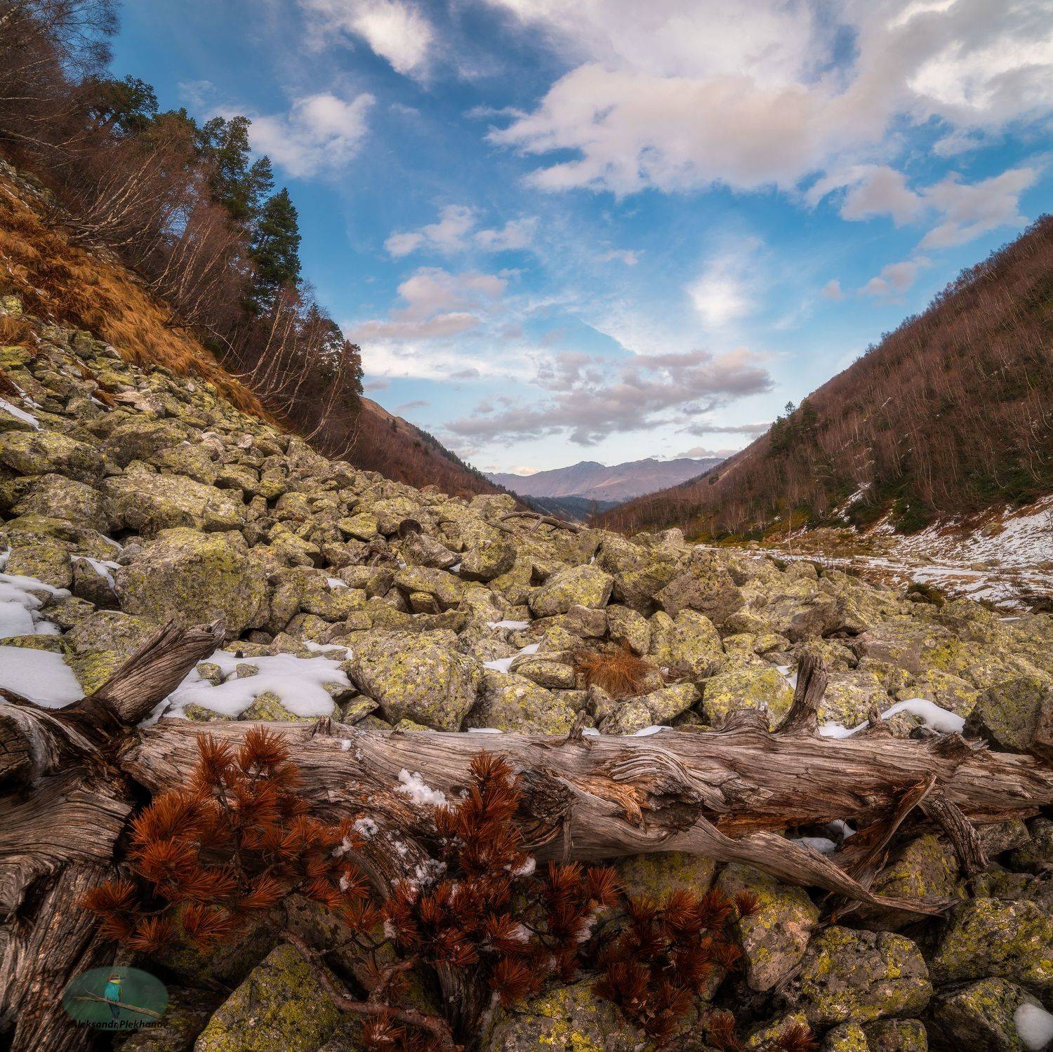 кчр, Alexander Plekhanov