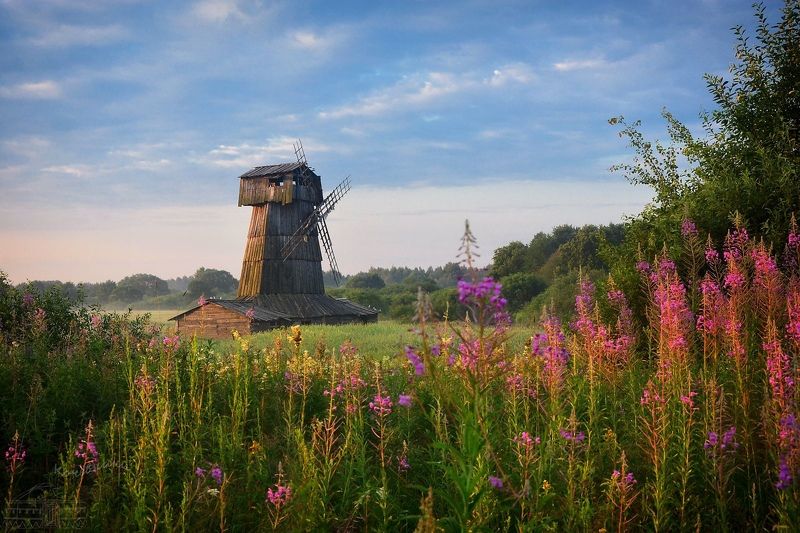 Июльское утро в деревне фото превью