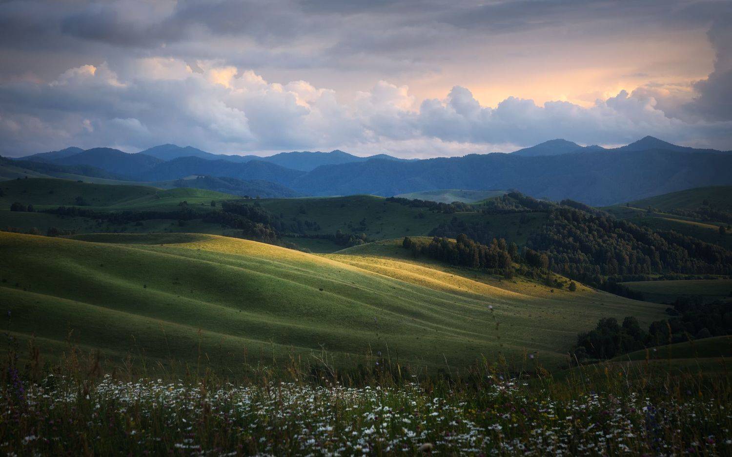 алтай, алтайский край, алтайский район, бирюксинский перевал, айские холмы, айский тракт, алтайское, холмы, предгорья алтая, Алена Рубан