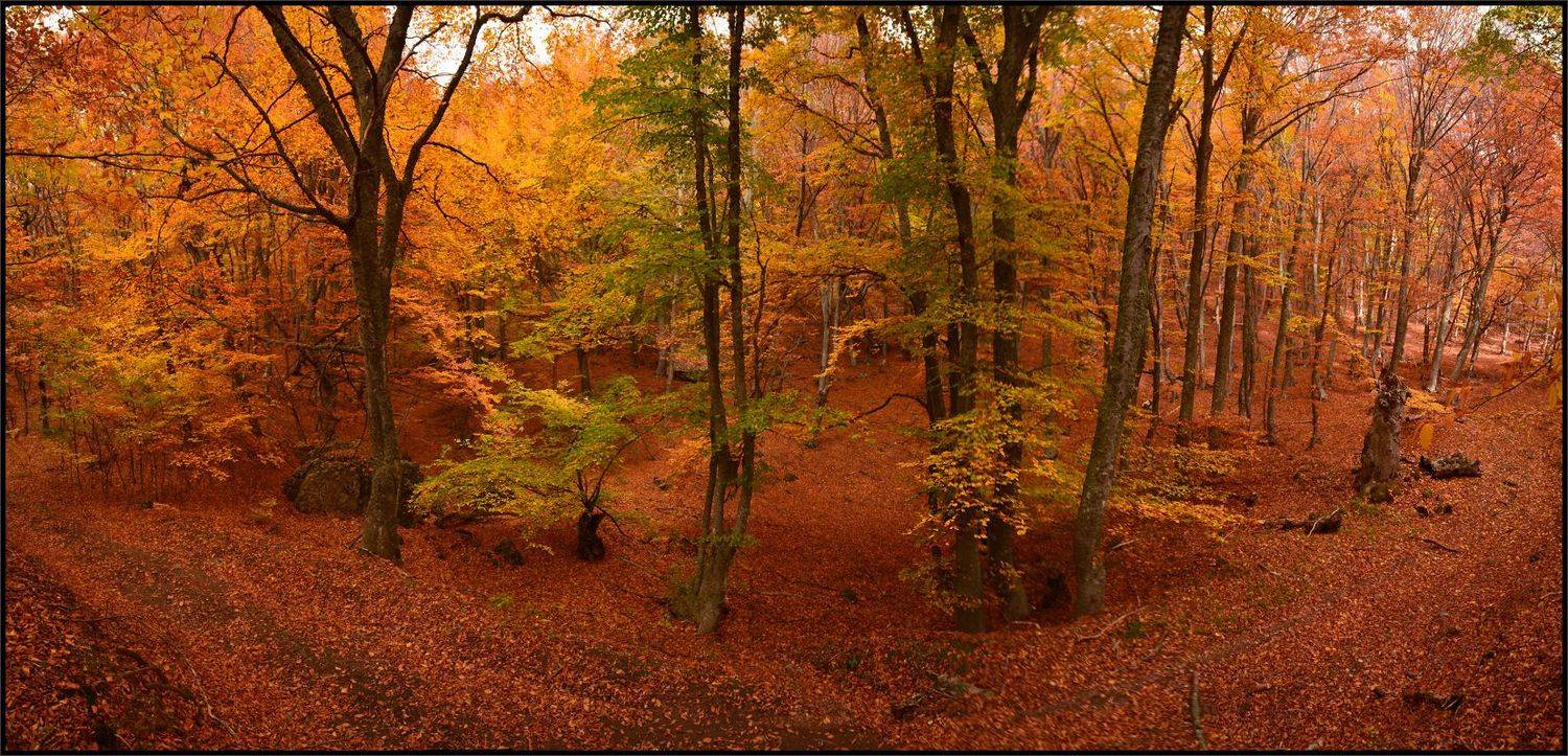, Владимир Метцгер