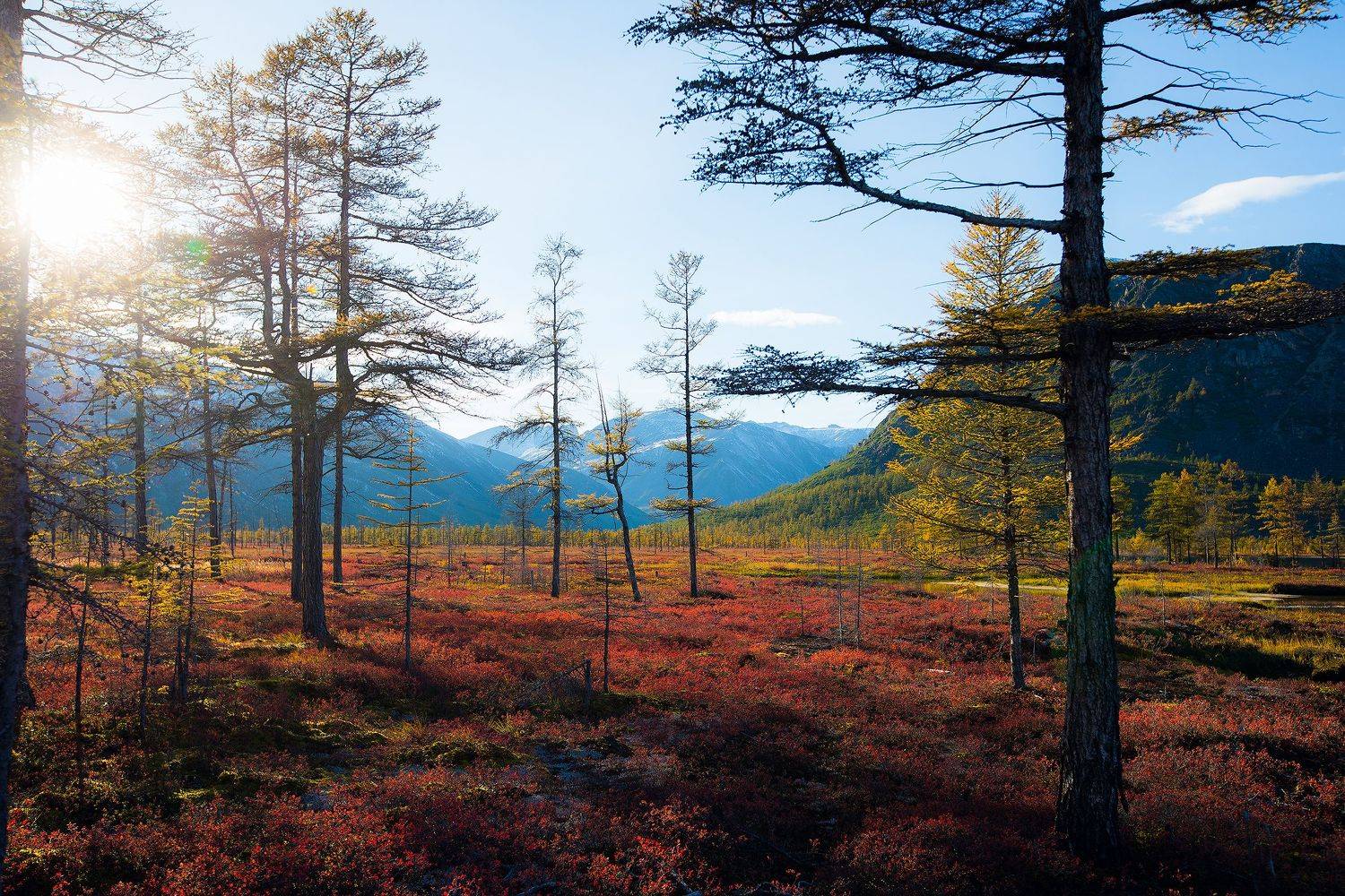Колыма, Магадан, тайга, тундра, пейзаж, осень, озеро Джека Лондона, горы, Владимир Кочкин