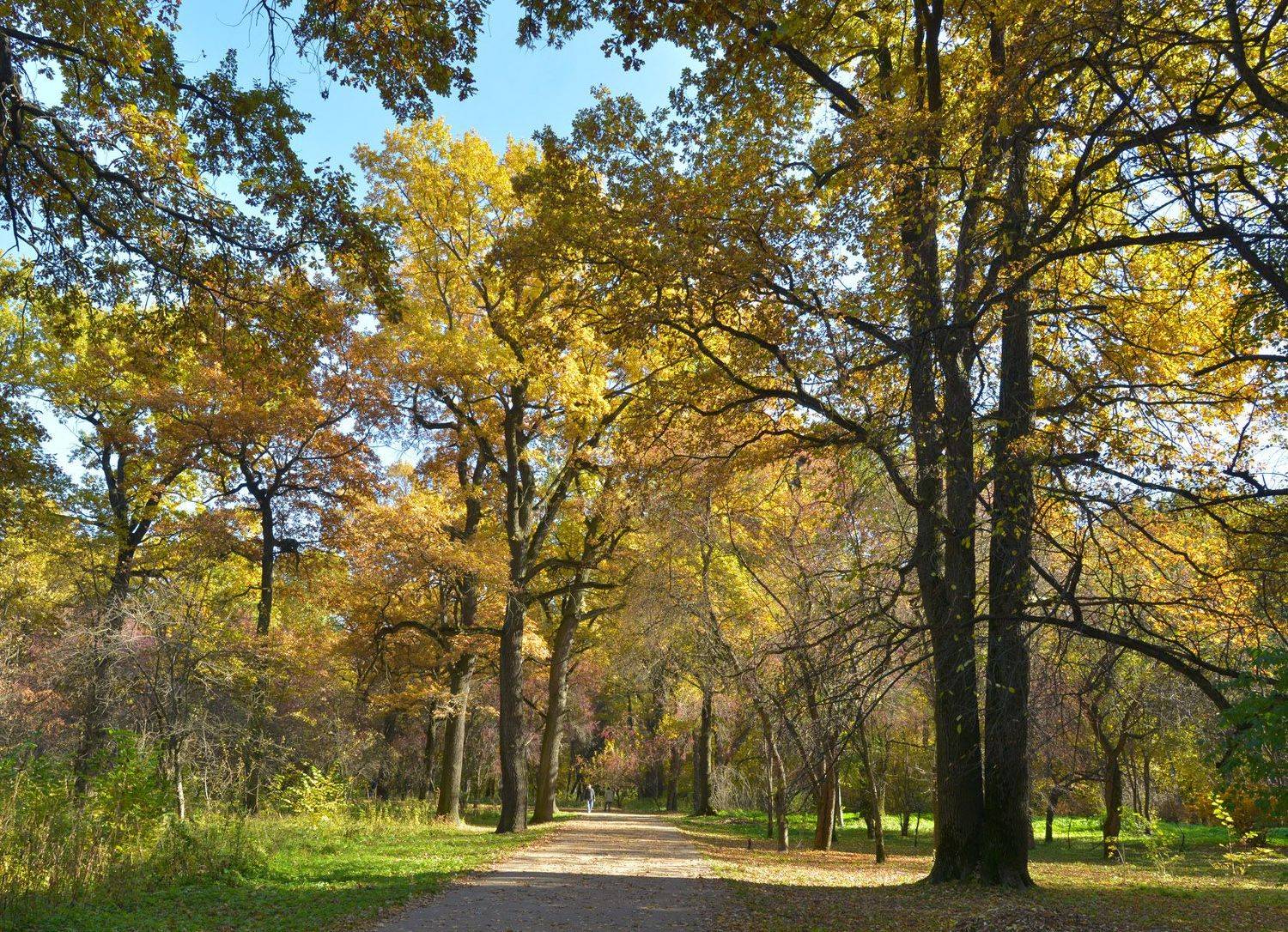 , Сергей Седов