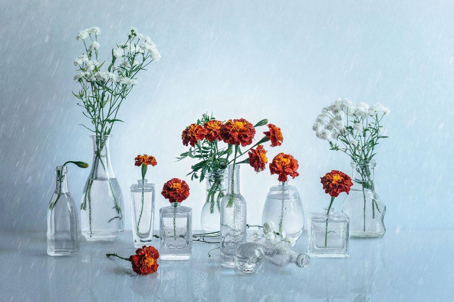 , MVO (Марк Орлов)