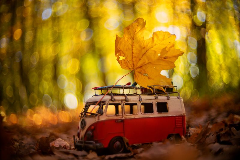 bokeh Autumn фото превью