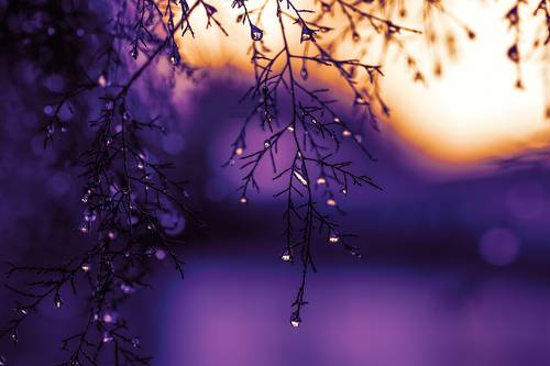 After rain..