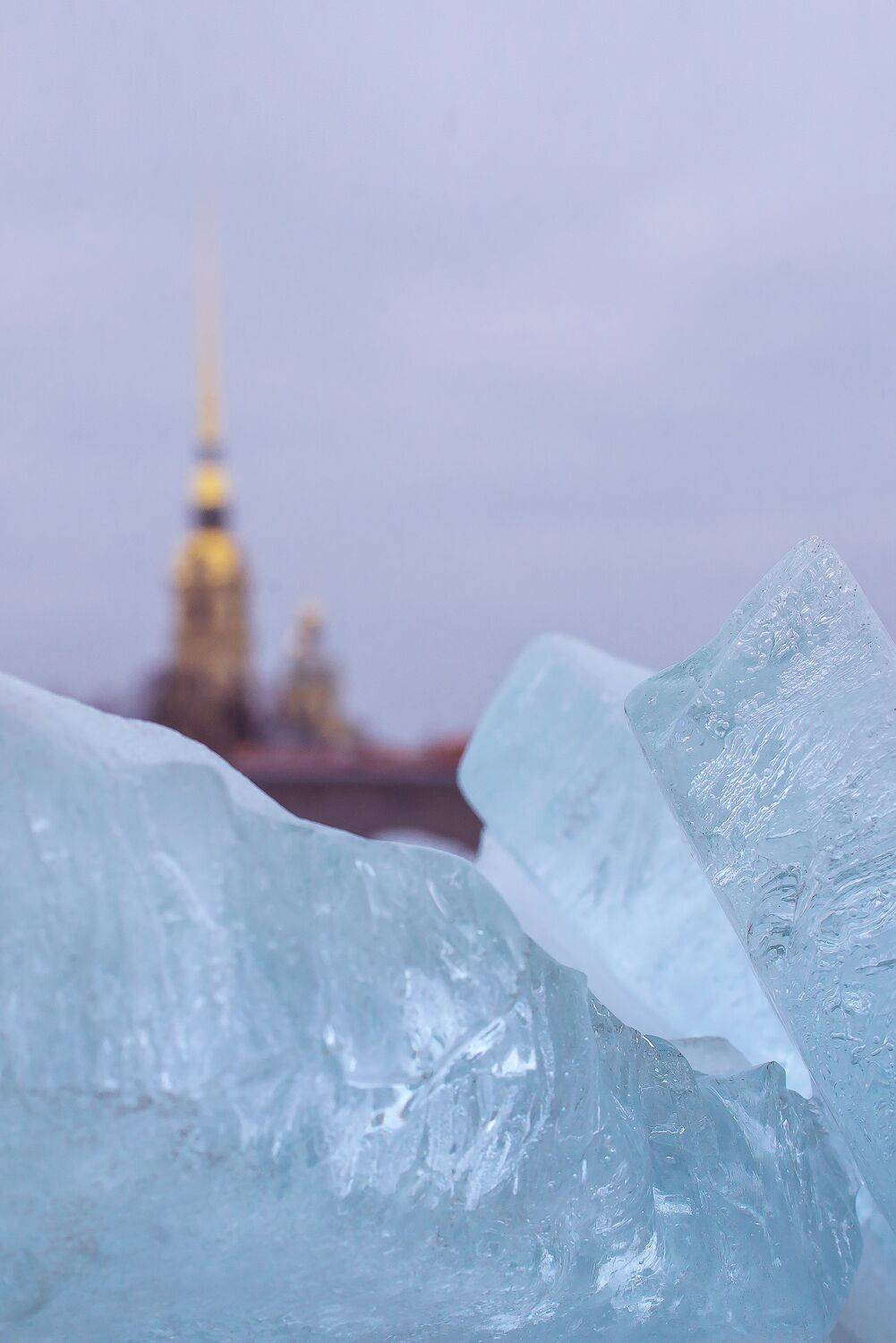 #спб, Мария Чепрасова