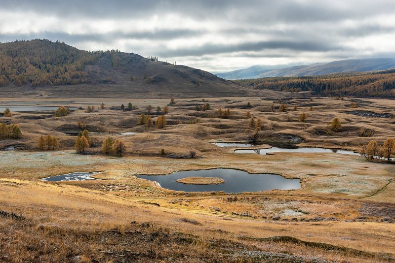 алтай, республика алтай, джангысколь, озеро, урочище ештыкель, облачность, снег, лиственницы, осень Урочище Ештыкель, в поисках сюжета фото превью