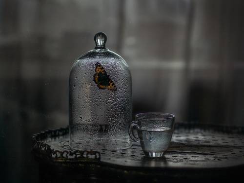 пасмурность дня*