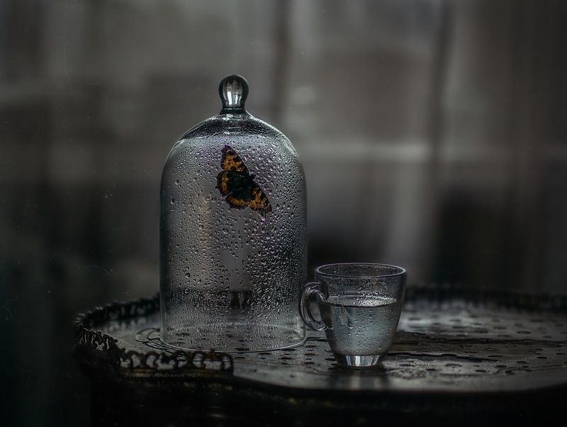 пасмурность дня* фото превью