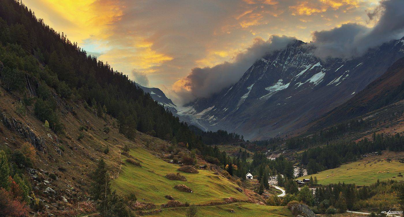 swiss, Матвеев Николай