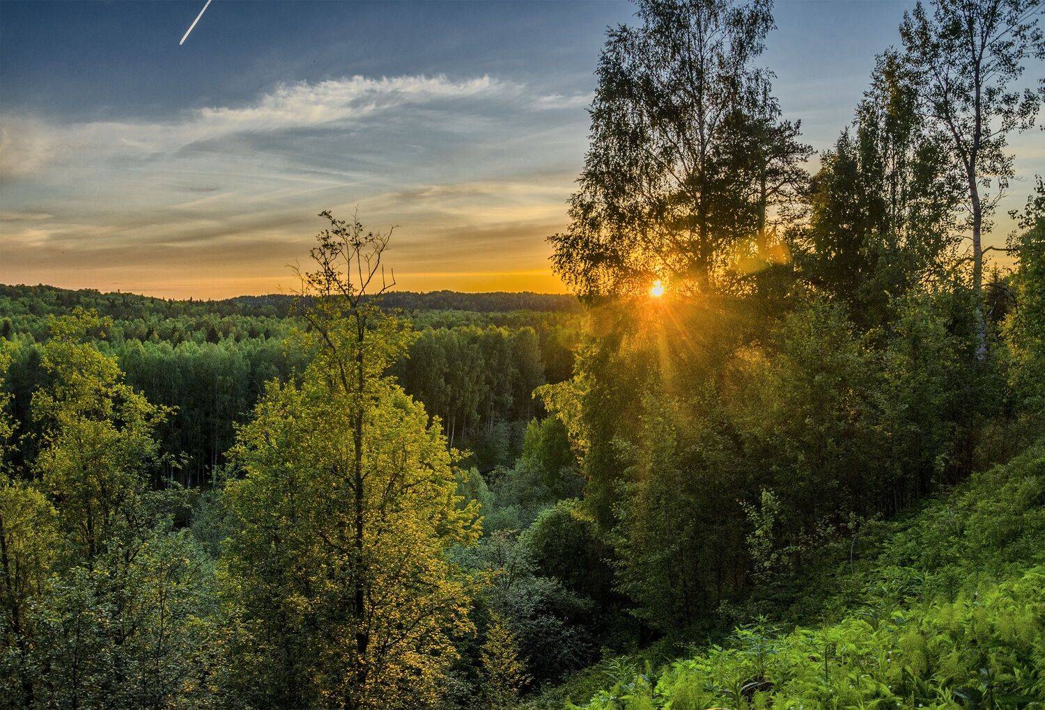 утро пейзаж путешествия, Александр Березуцкий