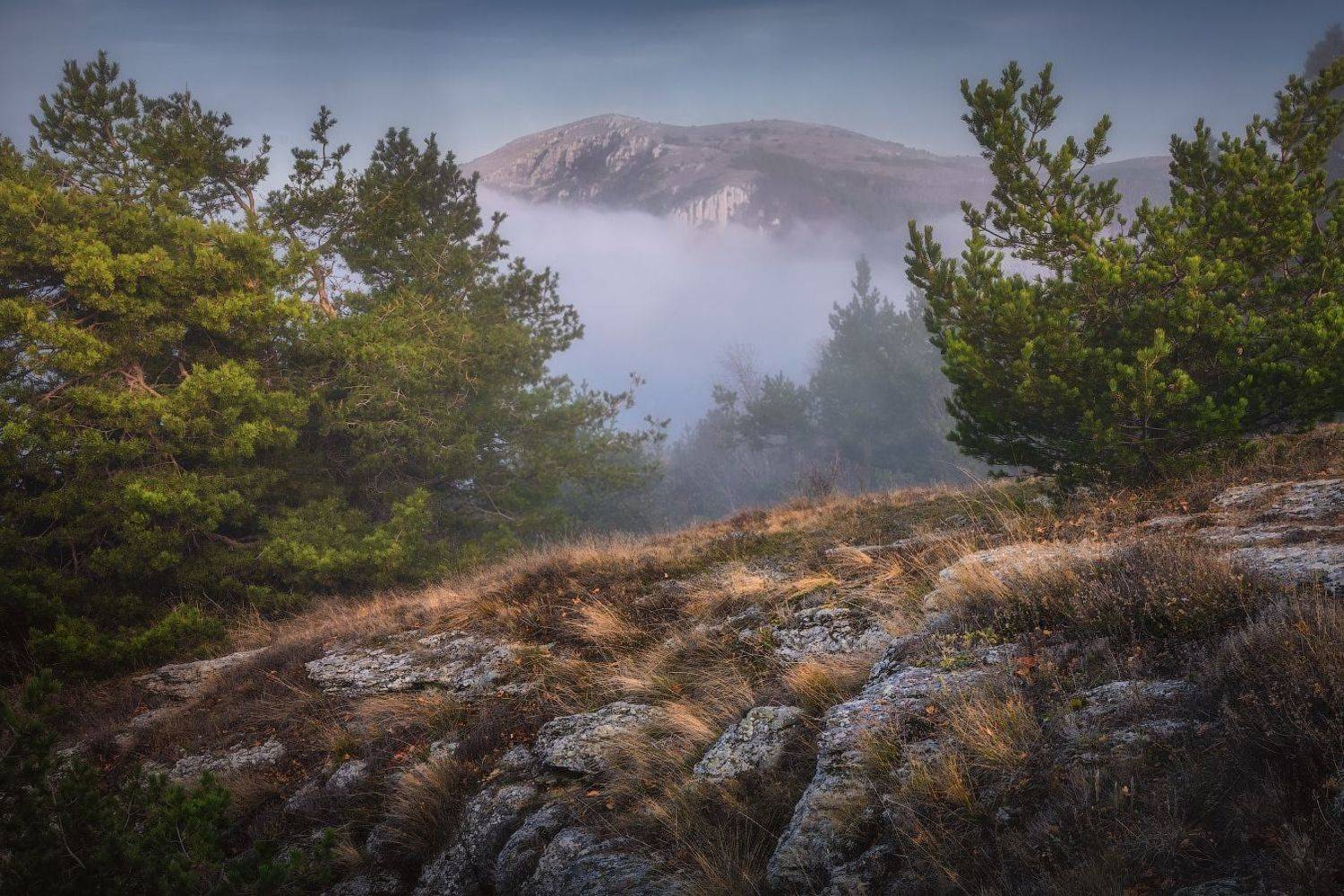 , Алексей Агеев