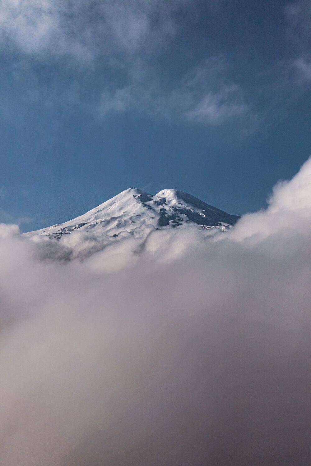 , Андрей Кривцов