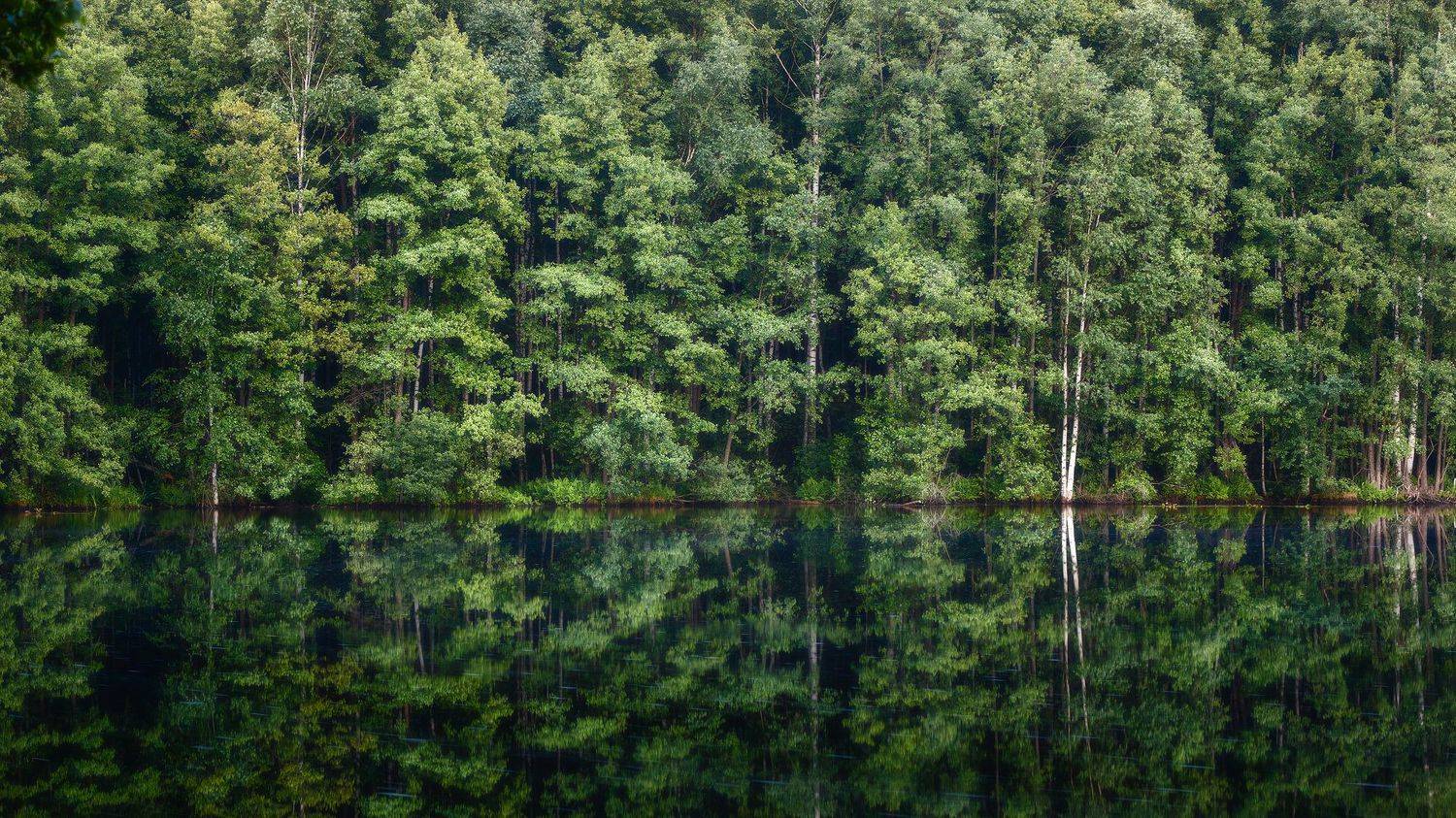 пейзаж, Сергей Сергеев