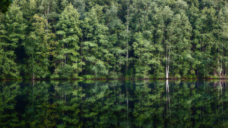 пейзаж Параллельные миры фото превью