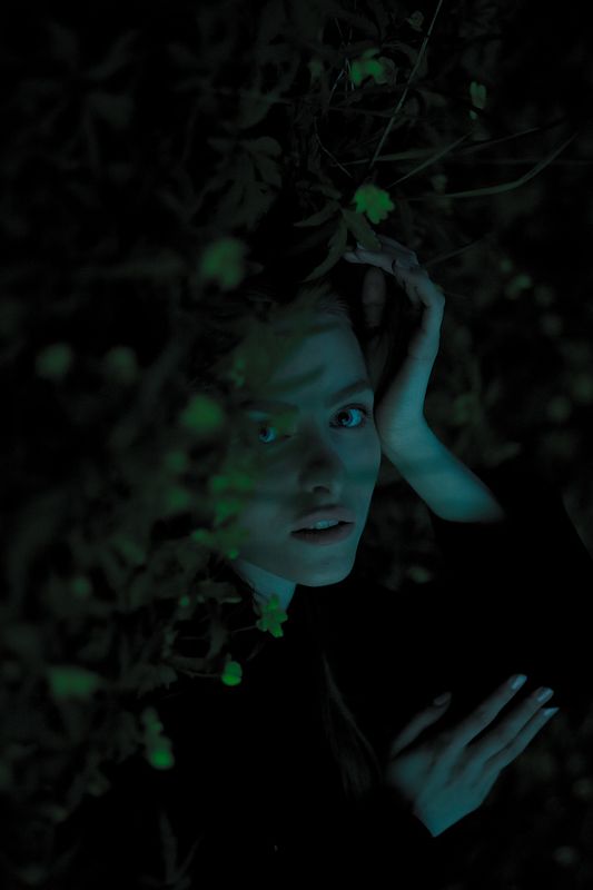 Тишина и воздух фото превью