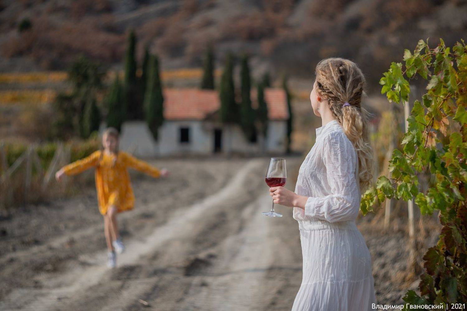 , Гвановский Владимир