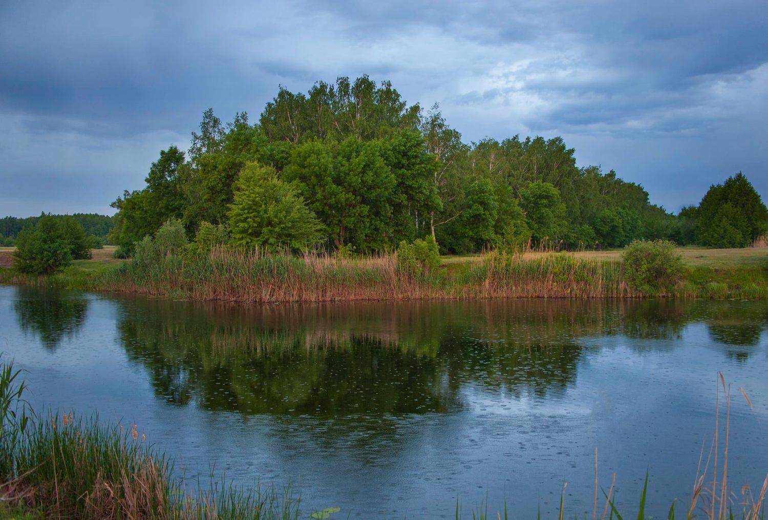 лето, река, берег,пейзаж ,дождь, Roma  Chitinskiy