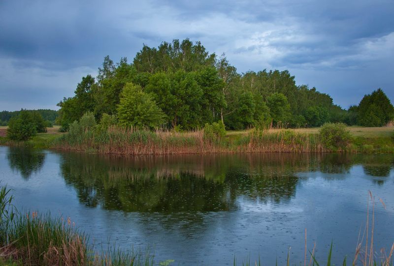 лето, река, берег,пейзаж ,дождь Пейзаж как состояние души ... фото превью