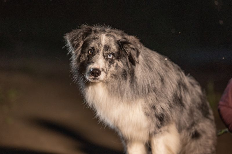 Заслуженный ужин фото превью