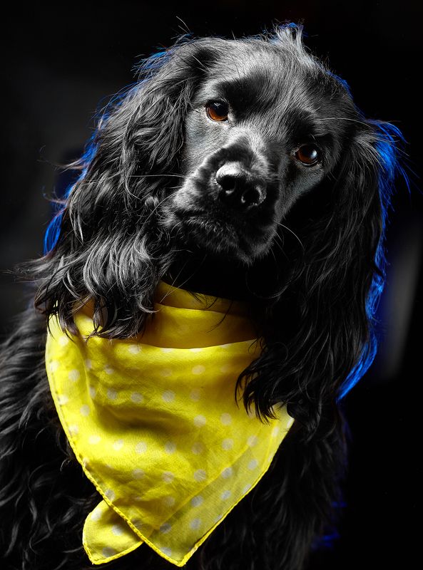 Jessie фото превью