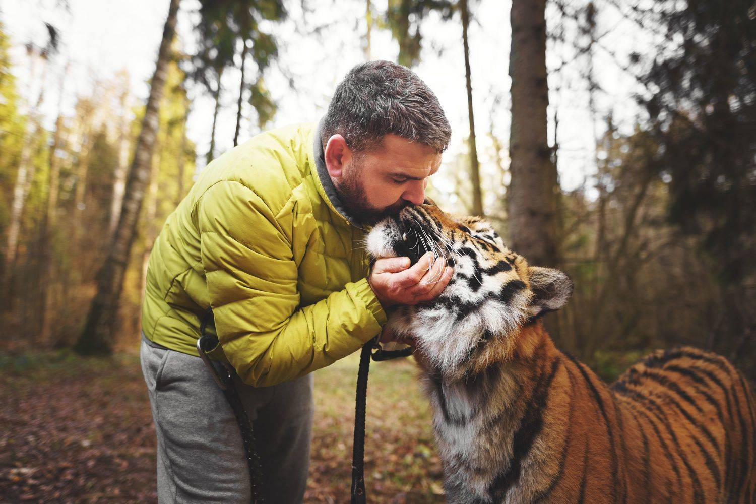 , Можаров Дмитрий