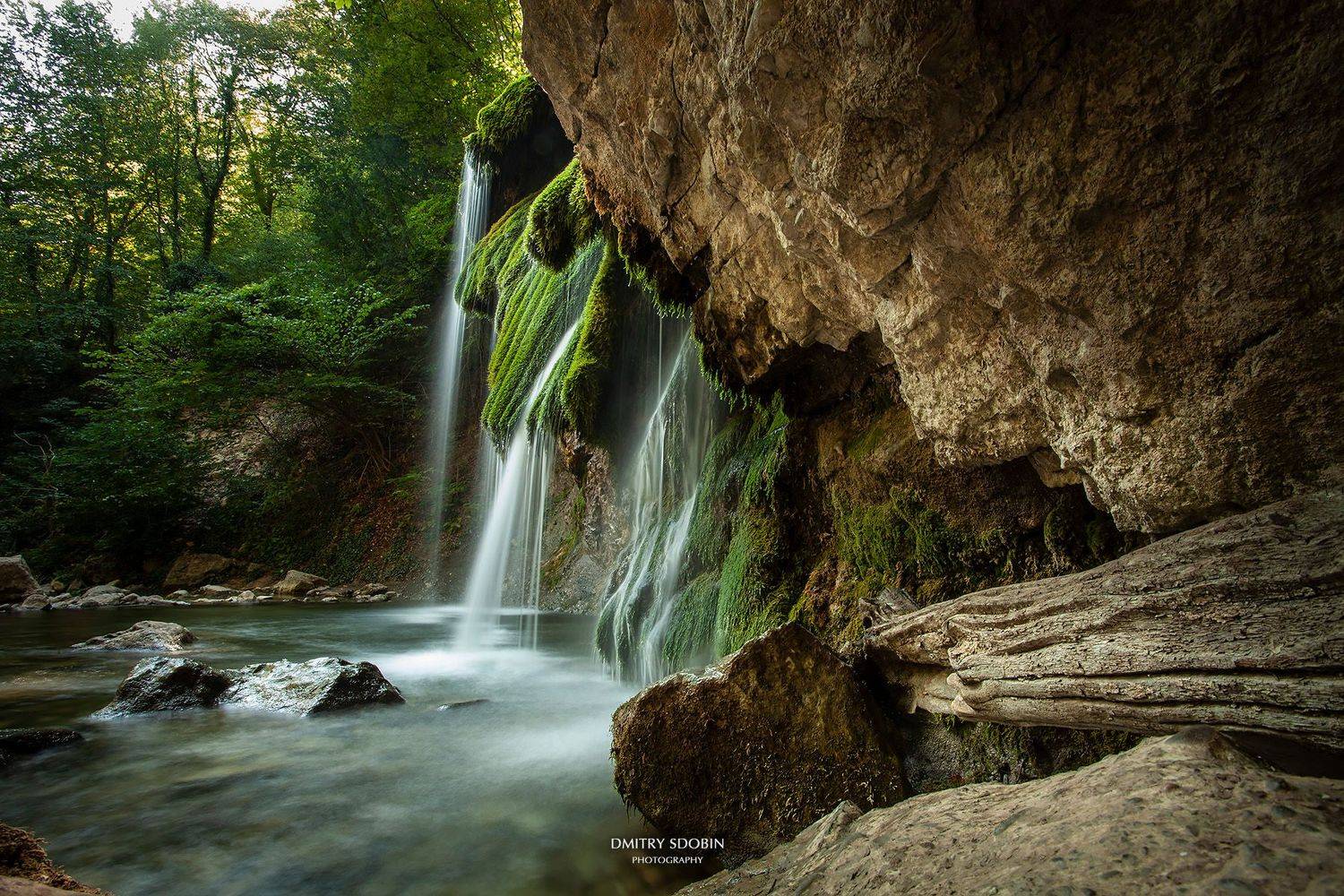 , Дмитрий Сдобин