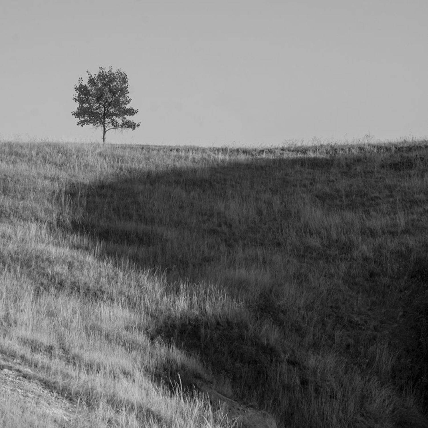 , Роман Рыжков